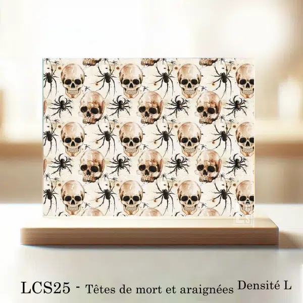 LCS25 - Têtes de mort et araignées