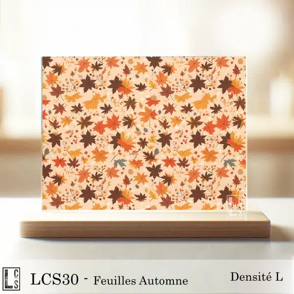 LCS30 - Feuilles automne