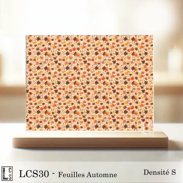 LCS30 - Feuilles automne