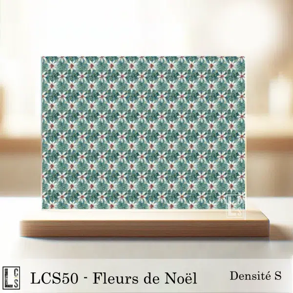 Fleurs de Noël