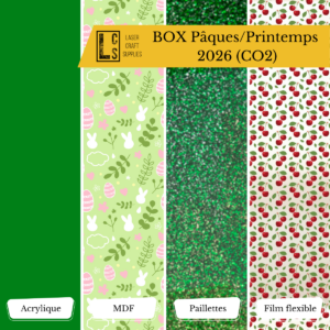 BOX découverte laser printemps CO2