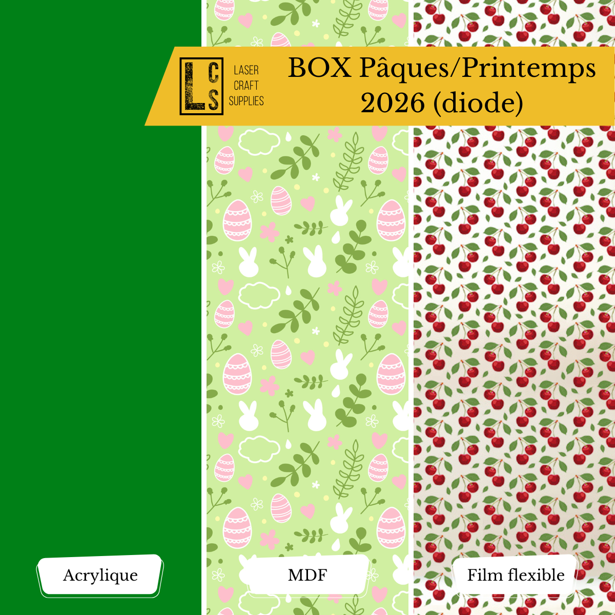 BOX laser découverte printemps diode